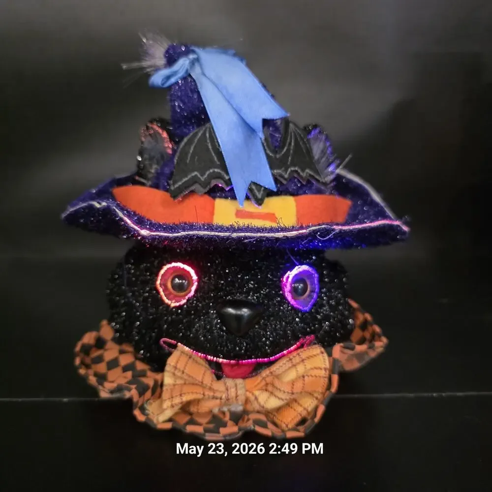 3pc Fiber Optic Halloween Pumpkin Black Cat 8